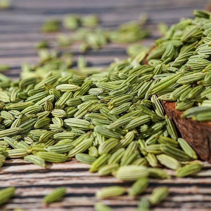 Bulk Fennel Seeds for Lamb Dishes - LvKang
