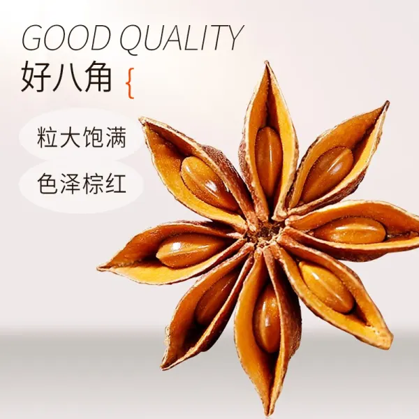 散装有机八角 - 炖肉卤菜必备香料 - 防城港绿康 - 图片 4
