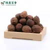 散装草果 - 卤菜炖肉增香去腥 - 防城港绿康 - 图片 3