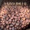 散装草果 - 卤菜炖肉增香去腥 - 防城港绿康 - 图片 5