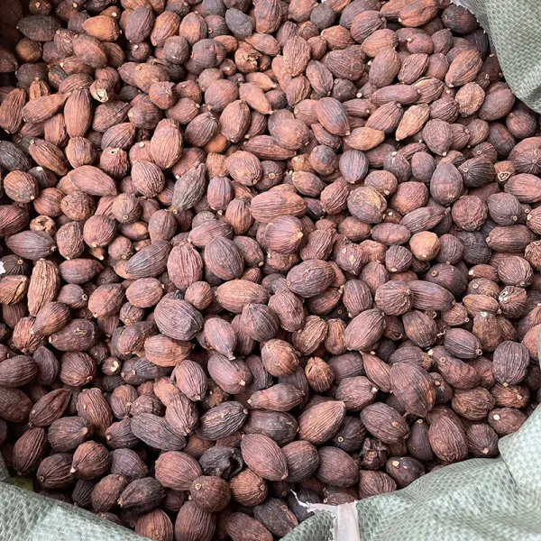 散装草果 - 卤菜炖肉增香去腥 - 防城港绿康 - 图片 6