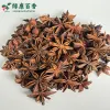 绿康香料：散装三重认证春花八角 - 广西特产 - 图片 4