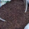 散装黑胡椒粒 - 牛排腌料西餐绝配 - 防城港绿康 - 图片 4