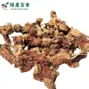 散装良姜 - 卤菜炖肉去腥香料 - 防城港绿康 - 图片 3