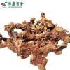 散装良姜 - 卤菜炖肉去腥香料 - 防城港绿康 - 图片 4