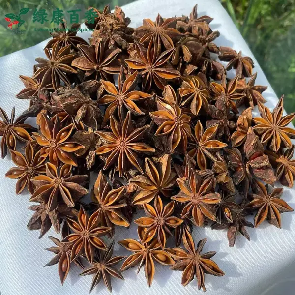 散装大红八角 - 广西八角原料批量供应 - 绿康香料 - 图片 7