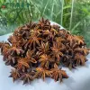 散装大红八角 - 广西八角原料批量供应 - 绿康香料 - 图片 3