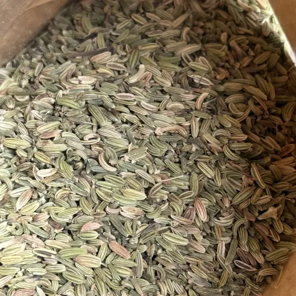 大袋小茴香籽 - 餐饮与食品加工批量供应 - 绿康香料 - 图片 5