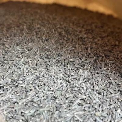 大袋孜然籽 - 烧烤与食品加工批量供应 - 绿康香料