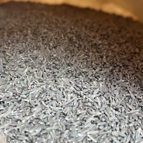 大袋孜然籽 - 烧烤与食品加工批量供应 - 绿康香料