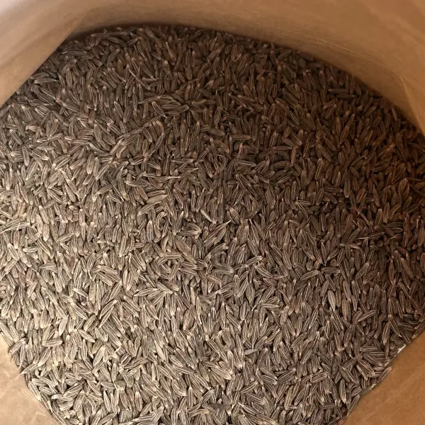大袋孜然籽 - 烧烤与食品加工批量供应 - 绿康香料 - 图片 2
