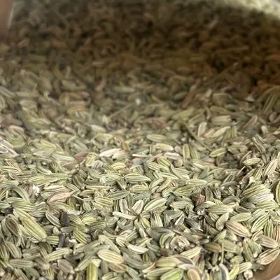 大袋小茴香籽 - 餐饮与食品加工批量供应 - 绿康香料