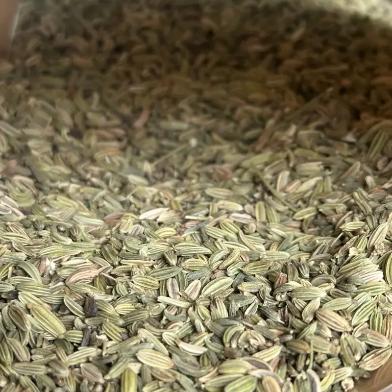 大袋小茴香籽 - 餐饮与食品加工批量供应 - 绿康香料