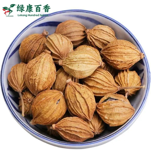 散装香砂 - 理气和胃化湿开胃 - 防城港绿康 - 图片 5