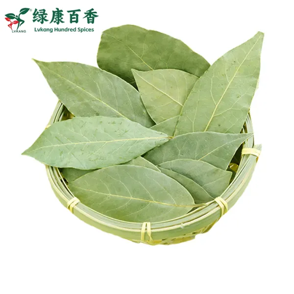 干香叶种植基地-源头工厂供应高品质香叶 - 绿康香料 - 图片 3