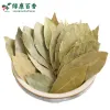 干香叶种植基地-源头工厂供应高品质香叶 - 绿康香料 - 图片 5
