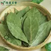 干香叶种植基地-源头工厂供应高品质香叶 - 绿康香料 - 图片 6