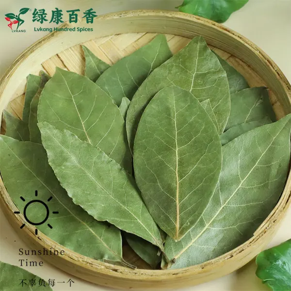 干香叶种植基地-源头工厂供应高品质香叶 - 绿康香料 - 图片 6