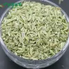 散装小茴香 - 羊肉去膻调味佳品 - 防城港绿康 - 图片 3
