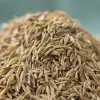 散装孜然粒 - 烧烤牛羊肉必备香料 - 防城港绿康 - 图片 3