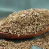 散装孜然粒 - 烧烤牛羊肉必备香料 - 防城港绿康 - 图片 5
