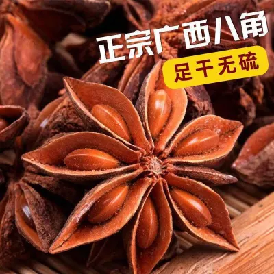 防城有机八角大料茴香精选炖肉香料调料厨房烹饪香辛料卤料 严选 | Star Anise | 现货批发 / 全球发货 | 图2