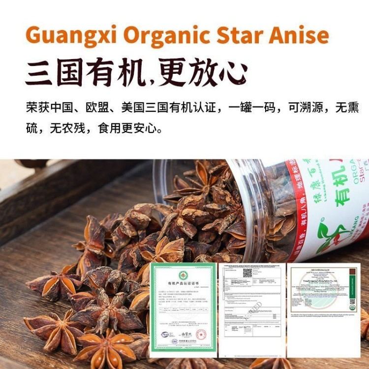 Star Anise 100g - Wholesale Spices | Star Anise | Multiple Sizes / Premium Quality | Image 2