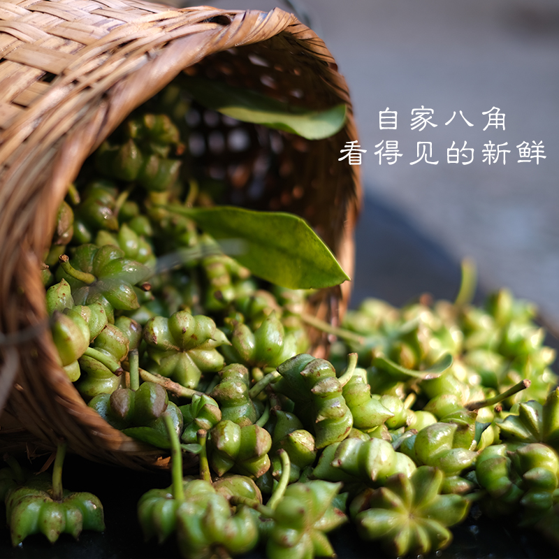 Star Anise Wholesale - Premium Quality Spices | Star Anise | Factory Direct / Authentic Aroma | Image 2